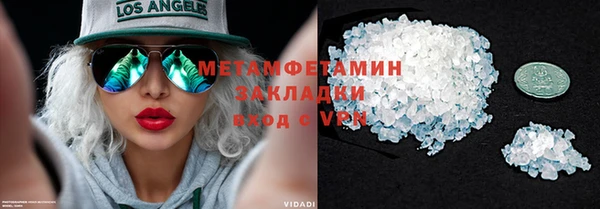 индика Богородицк