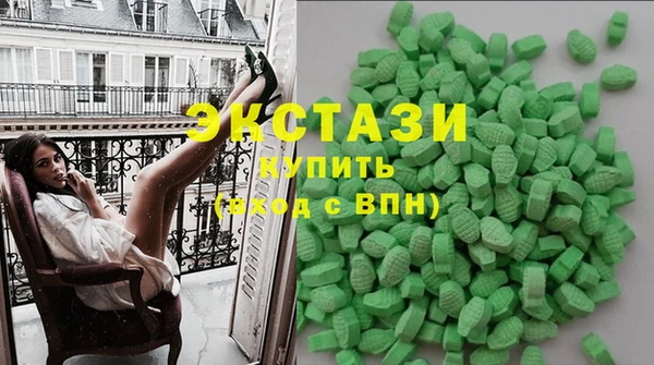 индика Богородицк