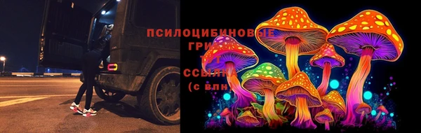 таблы Богданович
