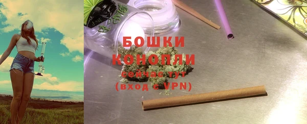 индика Богородицк