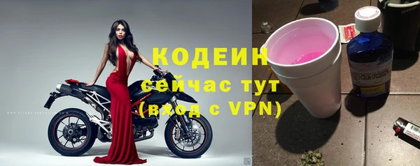 индика Богородицк