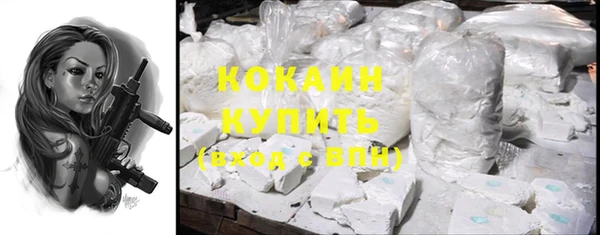 индика Богородицк