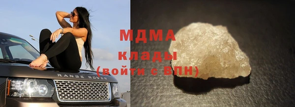 индика Богородицк