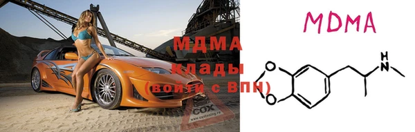 индика Богородицк