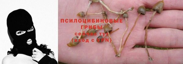 гидропоника Богородск