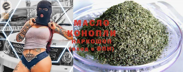 индика Богородицк