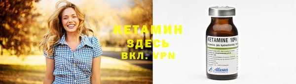 индика Богородицк