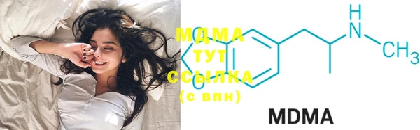 индика Богородицк