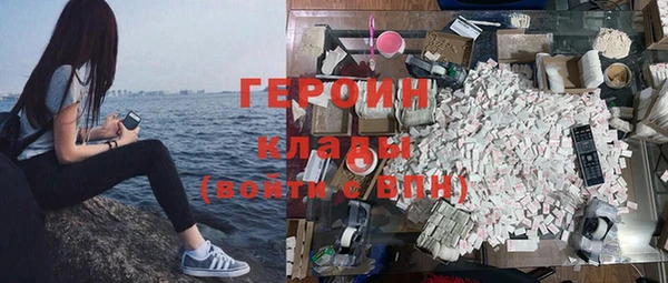 индика Богородицк