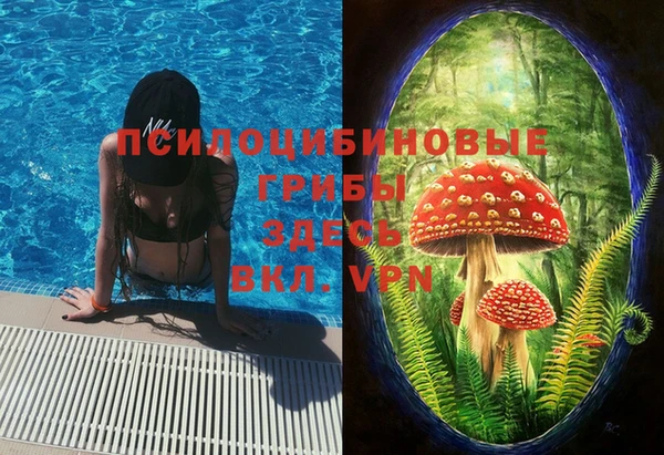 индика Богородицк