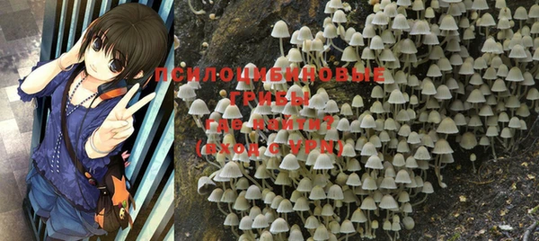 таблы Богданович