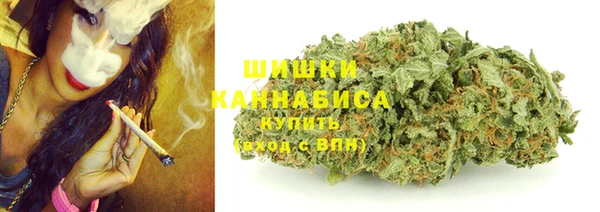 индика Богородицк
