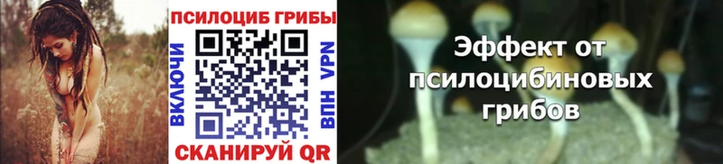 Галлюциногенные грибы MAGIC MUSHROOMS Дмитровск